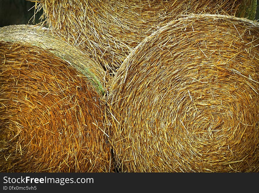 Close up of round bales of hay in sunlight.