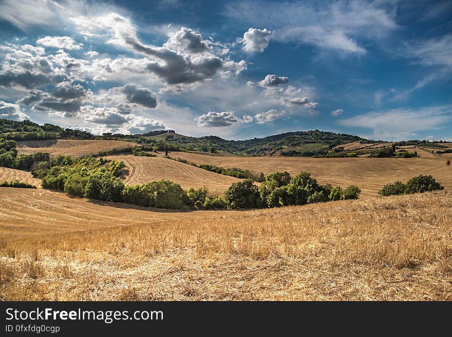 Sky, Cloud, Grassland, Field