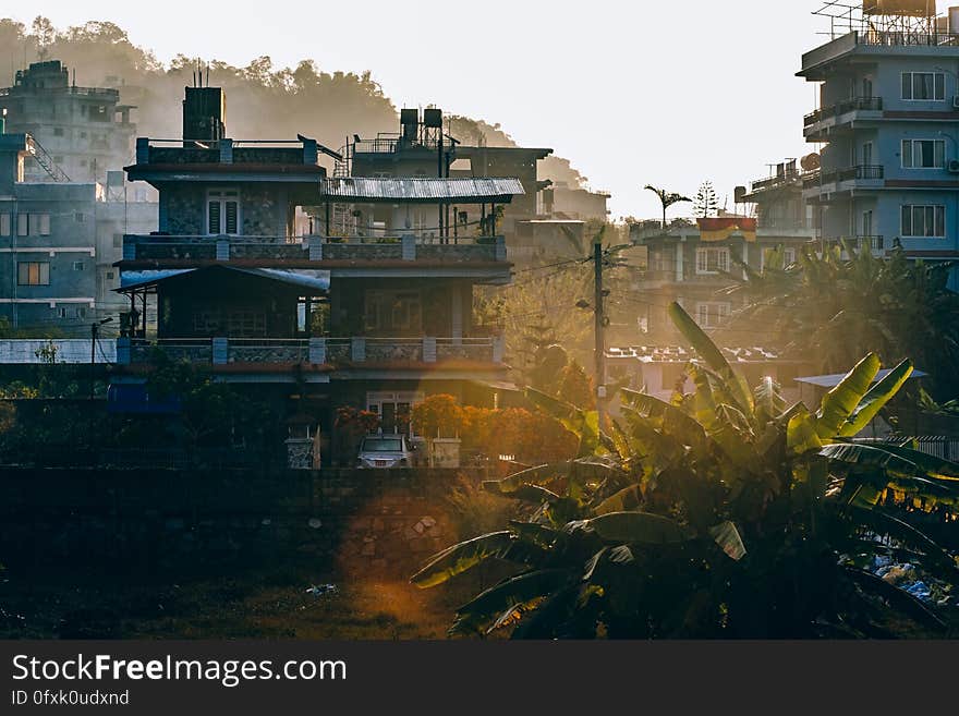 Houses in urban setting at sunset. Houses in urban setting at sunset.