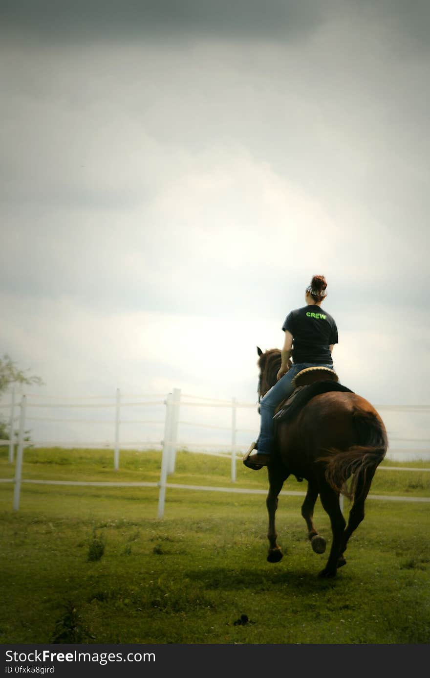 A woman riding a horse on green course. A woman riding a horse on green course.