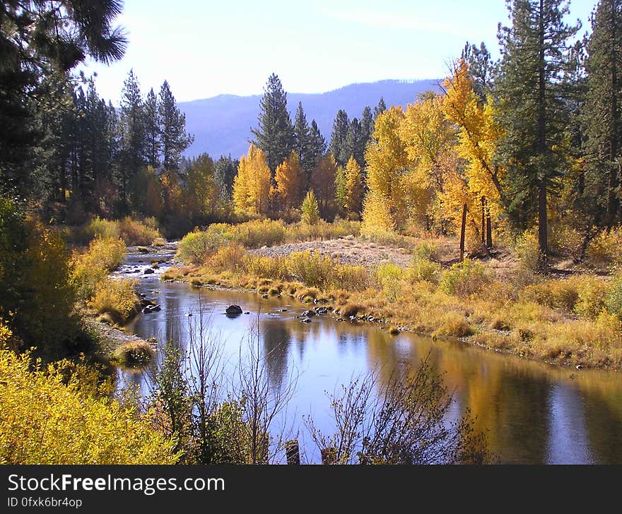 A view of a river with colorful autumn trees around it. A view of a river with colorful autumn trees around it.