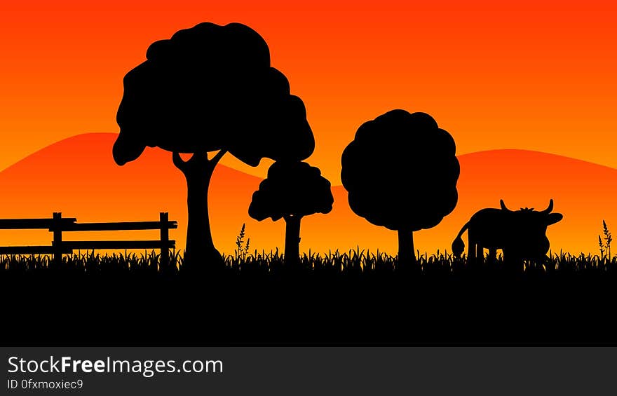 Silhouette, Ostrich, Sky, Grass