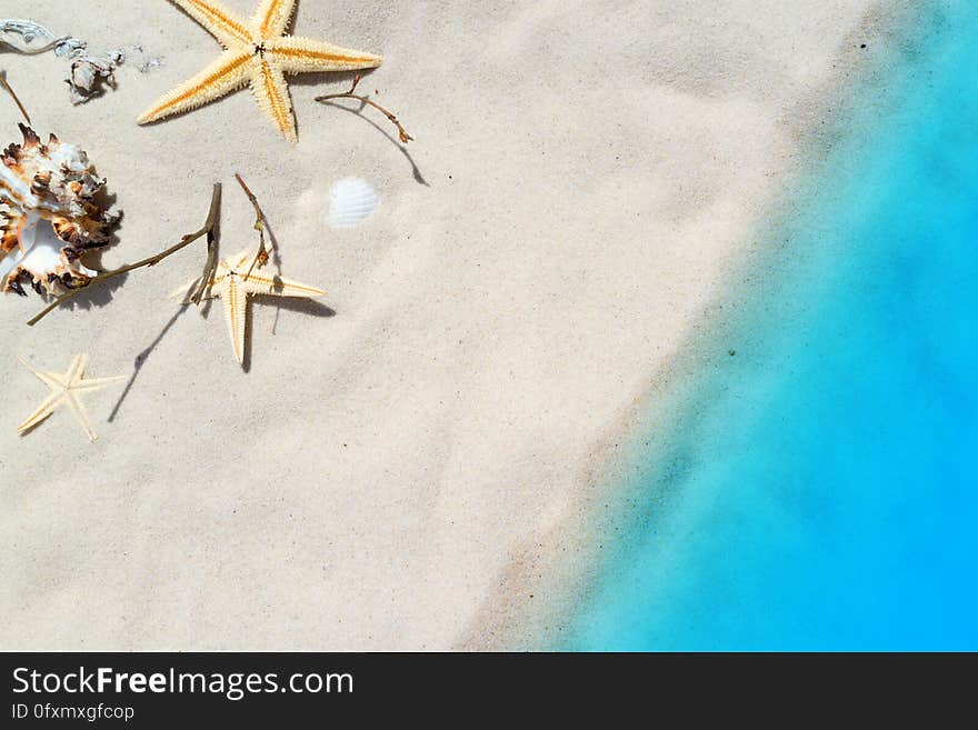 Blue, Sky, Invertebrate, Starfish