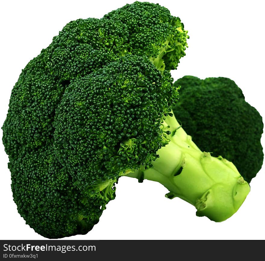 Broccoli, Vegetable, Produce, Leaf Vegetable