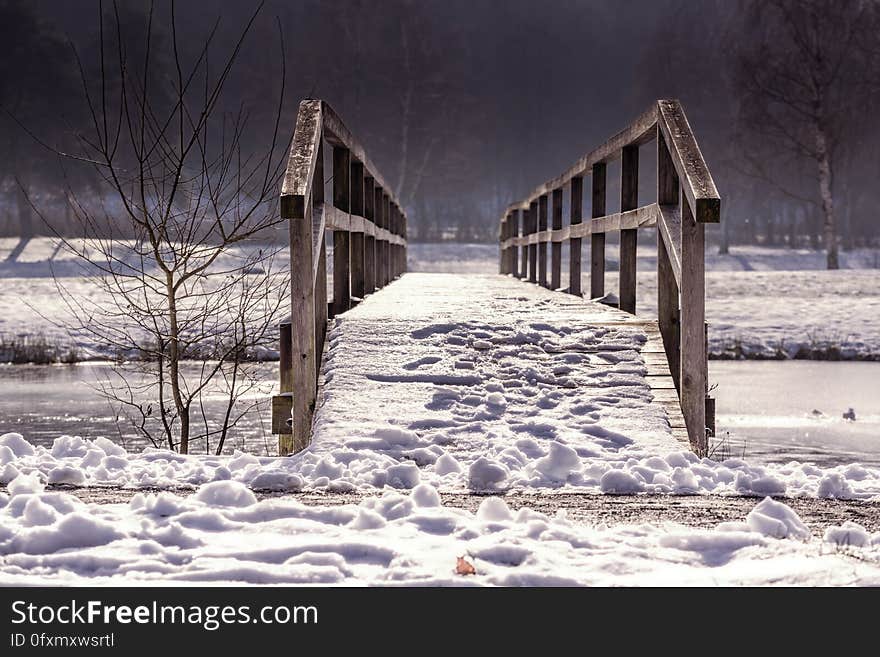 Winter, Snow, Bridge, Freezing