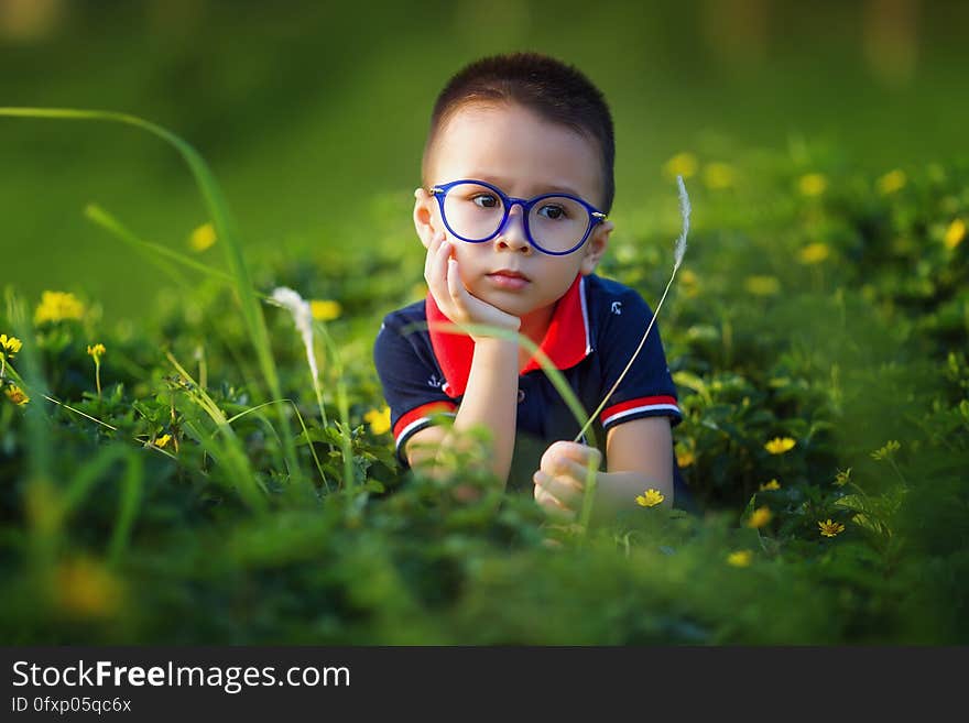 Green, Nature, Grass, Glasses