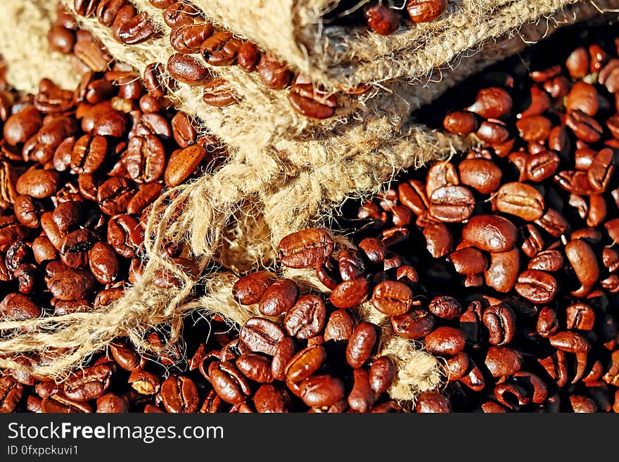 Cocoa Bean, Commodity, Superfood, Food