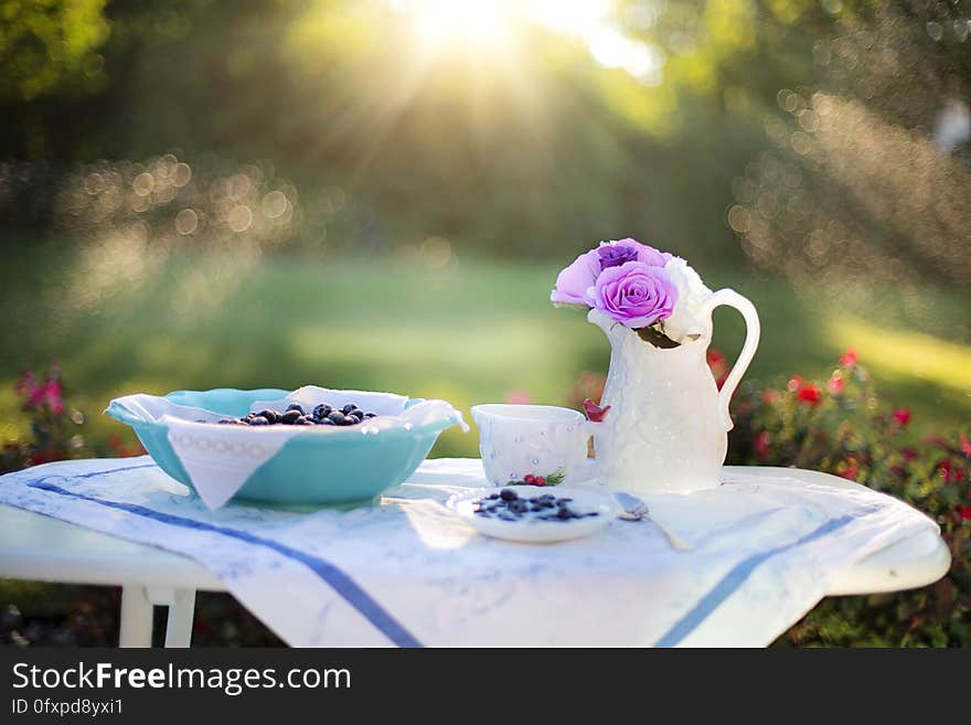 Flower, Spring, Flora, Morning