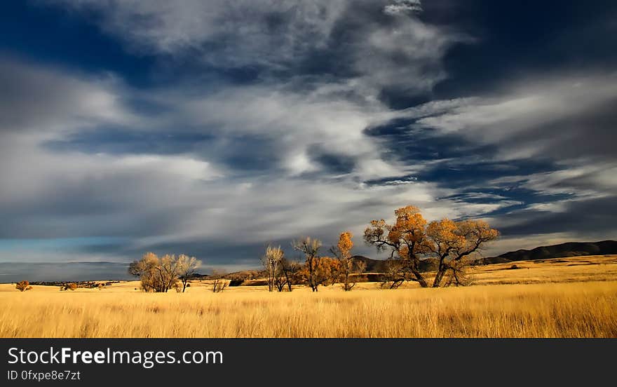 Sky, Ecosystem, Grassland, Prairie