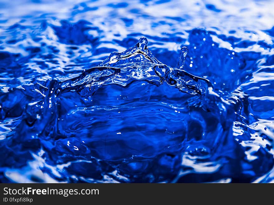 Water, Blue, Drop, Cobalt Blue