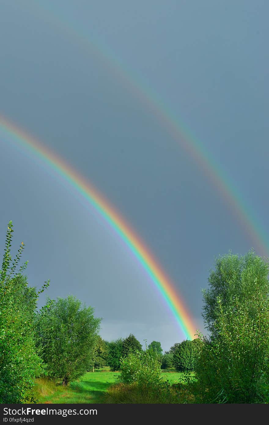 Rainbow, Sky, Meteorological Phenomenon, Phenomenon