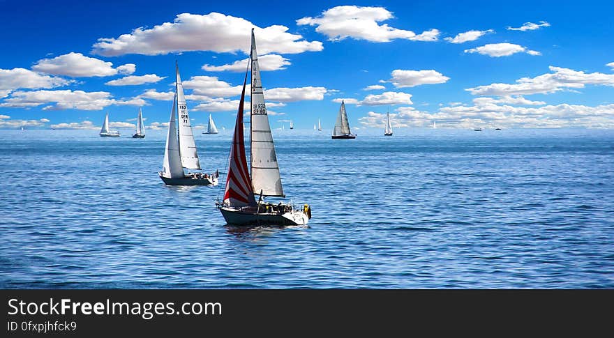 Sky, Sailboat, Sail, Water