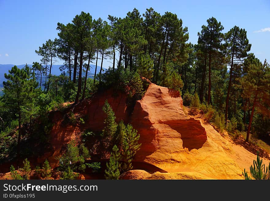 Vegetation, Wilderness, Nature Reserve, Rock