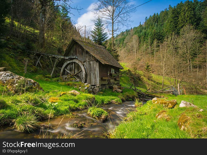 Nature Reserve, Vegetation, Watercourse, Stream