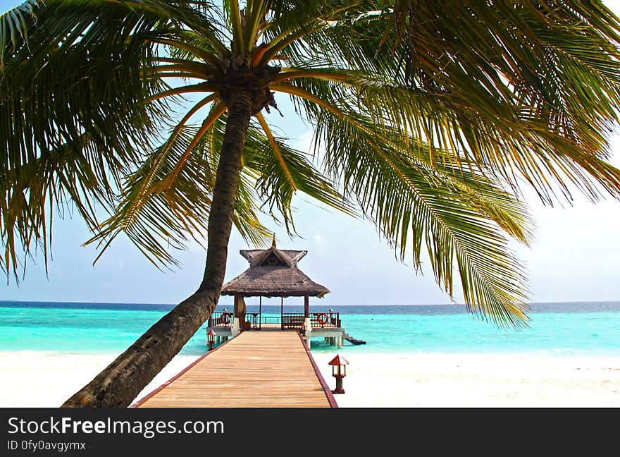 An exotic white sand beach with an overwater bungalow and a palm tree. An exotic white sand beach with an overwater bungalow and a palm tree.