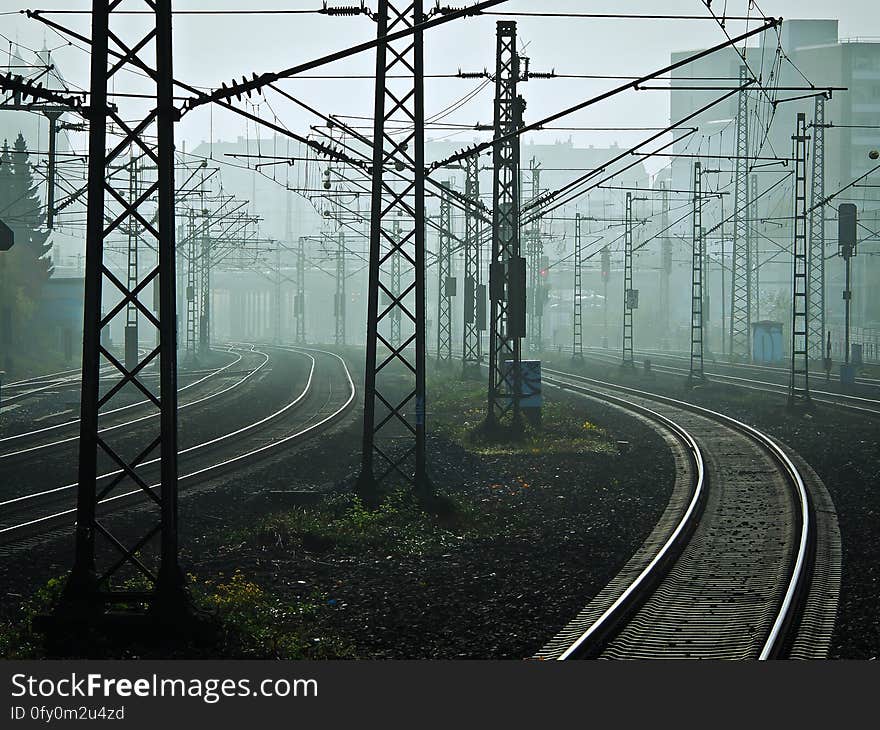 Track, Transport, Rail Transport, Tree