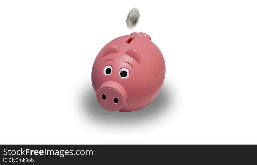 Pink, Product Design, Piggy Bank, Snout