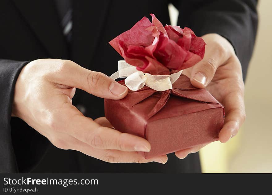 A close up of an elegant man`s hands holding a wrapped present. A close up of an elegant man`s hands holding a wrapped present.