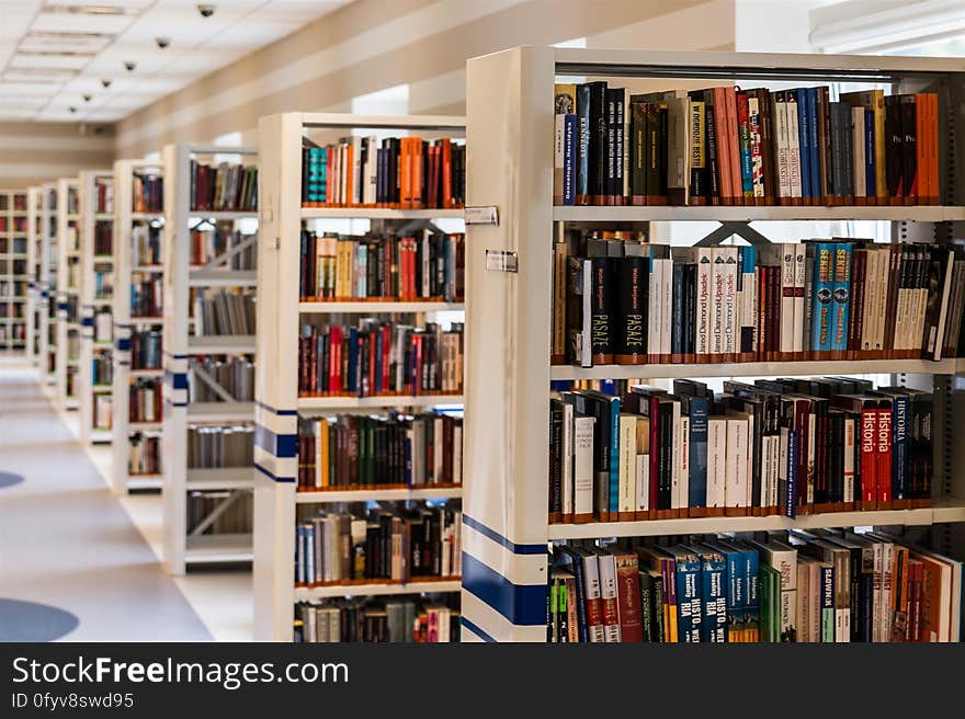 Row of Books in Shelf