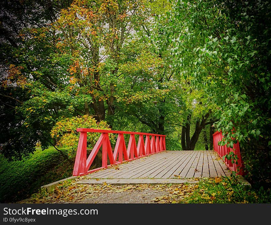 A bridge with red handrails in the park in the autumn. A bridge with red handrails in the park in the autumn.