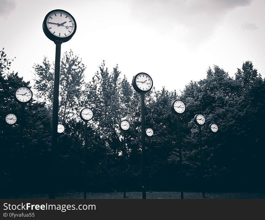 Monochrome view of group of clocks on tall poles in park with trees in background.