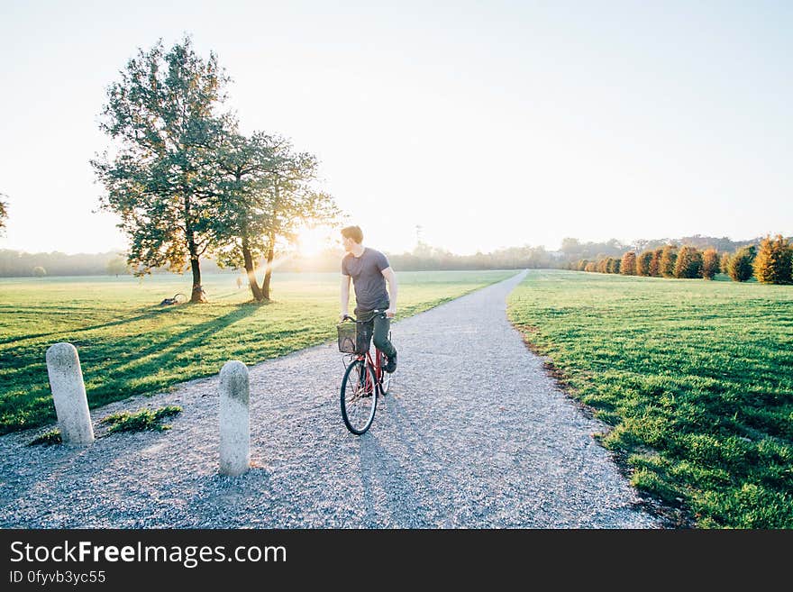 Scenic view of a man cycling in the countryside with autumn forest in background. Scenic view of a man cycling in the countryside with autumn forest in background.