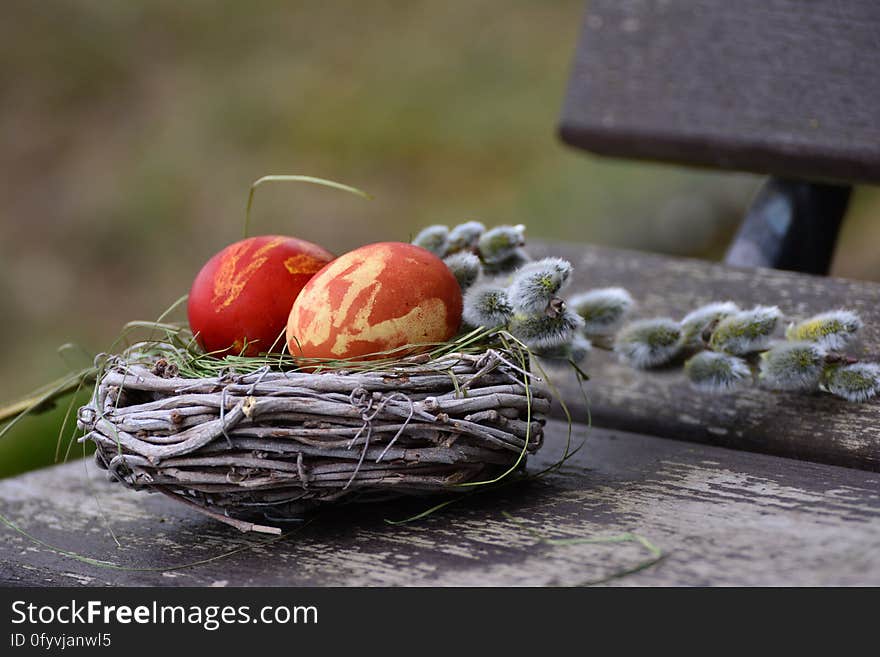 A close up of a nest with Easter eggs and catkins in the background.