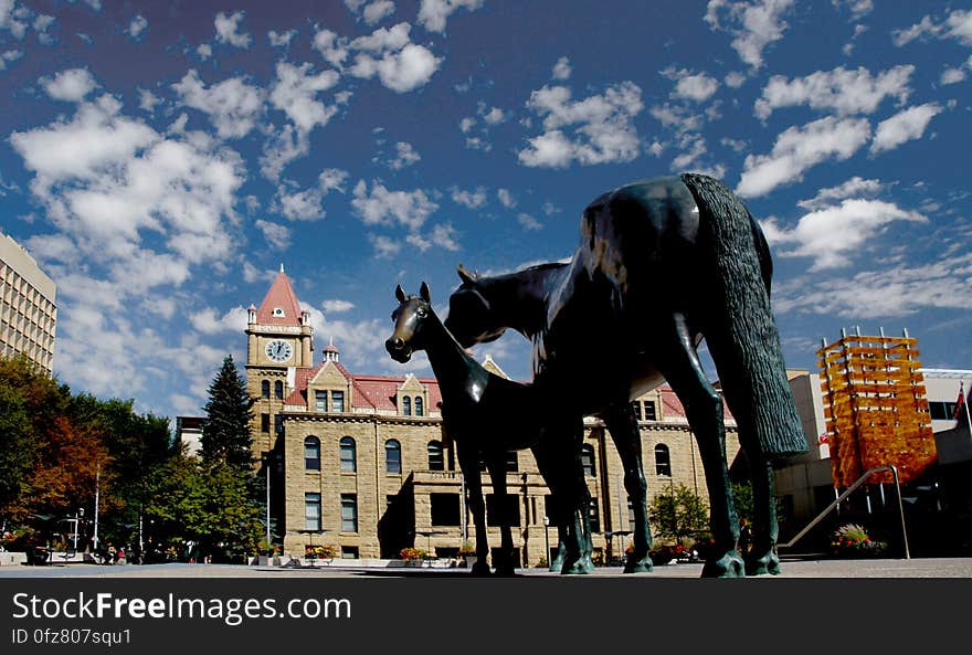 Municipal square.Calgary These horses were presented to The City of Calgary by Spruce Meadows on behalf of the horse industry of Alberta. The stallion overlooking the mare and foal signifies the bond and strength among families. Municipal square.Calgary These horses were presented to The City of Calgary by Spruce Meadows on behalf of the horse industry of Alberta. The stallion overlooking the mare and foal signifies the bond and strength among families