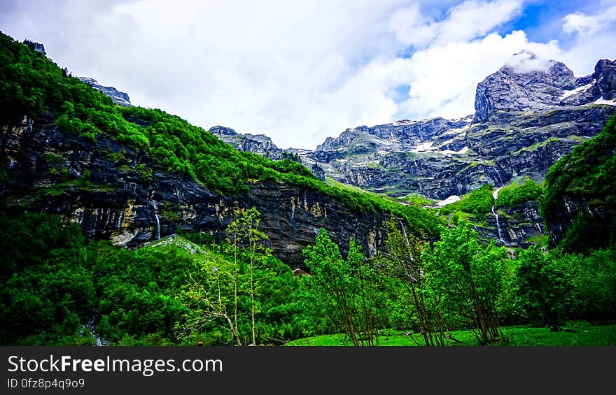 Green trees on the rocky mountains. Green trees on the rocky mountains.