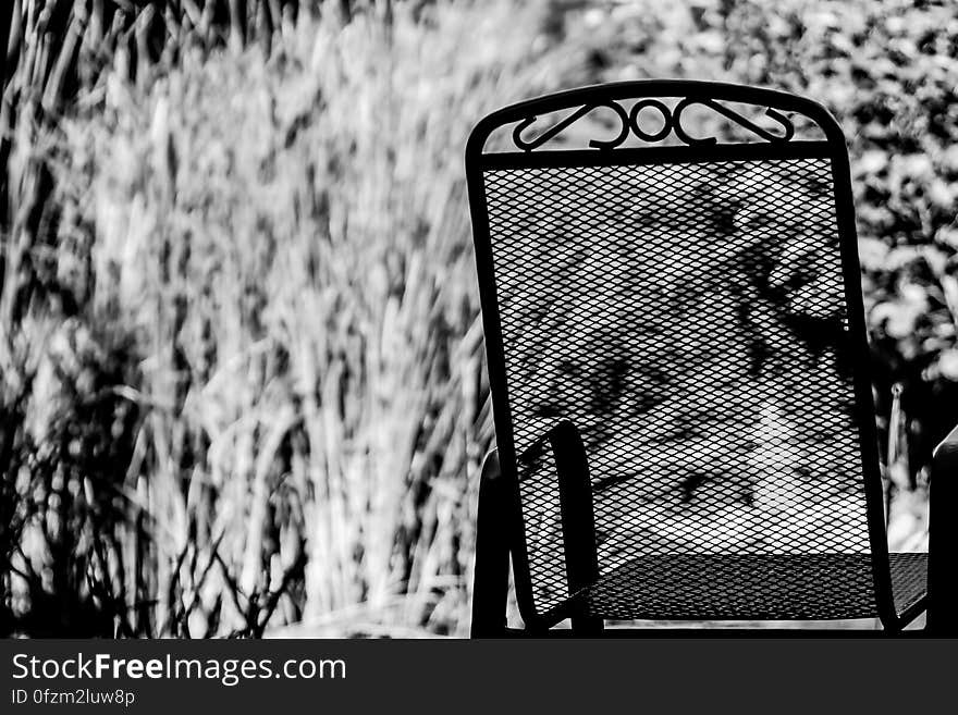 Black and white rear view of mesh and metal chair in garden outdoors.