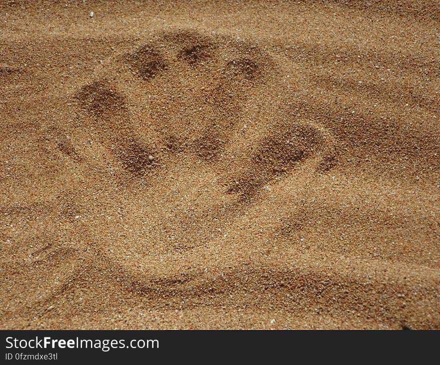 Palm Print on Sand