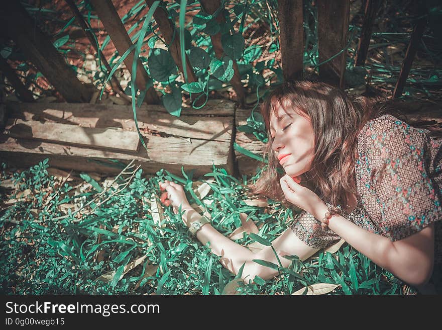 A woman lying in her garden among the plants. A woman lying in her garden among the plants.