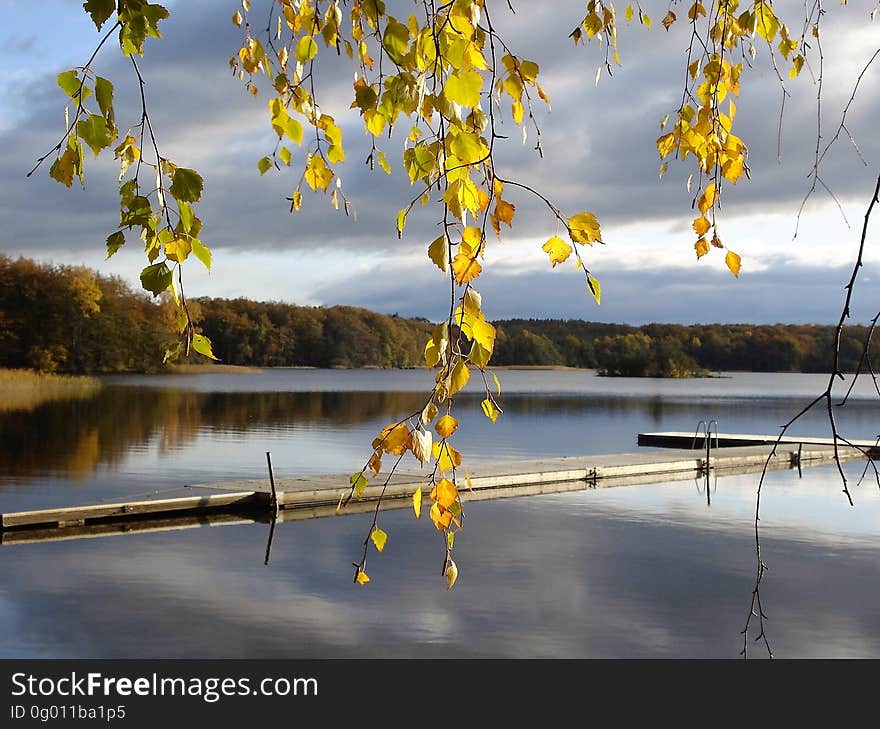 Wooden dock in calm waters along lakefront with autumn foliage on trees. Wooden dock in calm waters along lakefront with autumn foliage on trees.