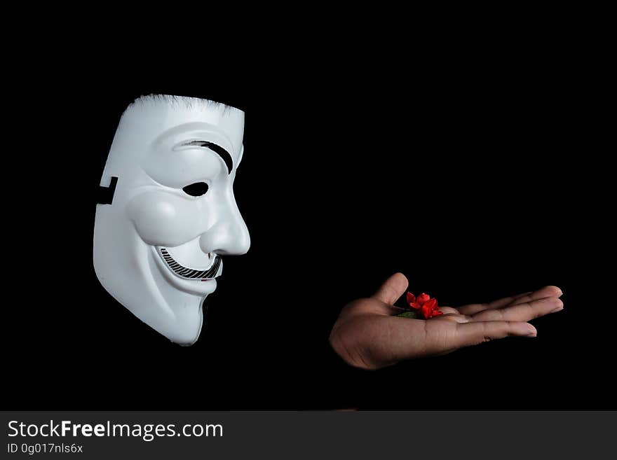 Photo of Guy Fawkes Mask With Red Flower on Top on Hand