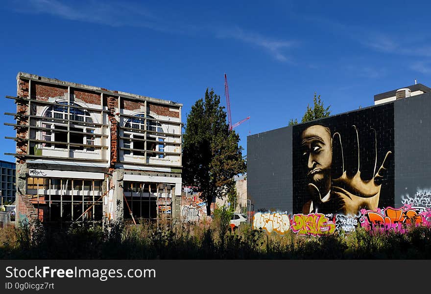 Street artists from all over the world have created new colourful work on walls in Christchurch&#x27;s city centre, attracting thousands of people. Street artists from all over the world have created new colourful work on walls in Christchurch&#x27;s city centre, attracting thousands of people.