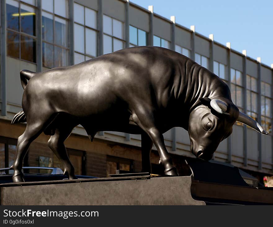 The Bull is back in Christchurch This bull sculpture was part of an art exhibition that was on last year. The sculpture captivated the people of Christchurch and it is now seen as a symbol of the cityâ€™s grit, determination and strength. The Christchurch Art Gallery Trust is now running a fund-raising campaign to buy the bull for Christchurch. I think this is a fabulous idea and look forward to the campaign being successful and the bull making its permanent home the Christchurch Art Gallery. The bull is by New Zealand artist Michael Parekowhai and is called Chapmanâ€™s Homer. The Bull is back in Christchurch This bull sculpture was part of an art exhibition that was on last year. The sculpture captivated the people of Christchurch and it is now seen as a symbol of the cityâ€™s grit, determination and strength. The Christchurch Art Gallery Trust is now running a fund-raising campaign to buy the bull for Christchurch. I think this is a fabulous idea and look forward to the campaign being successful and the bull making its permanent home the Christchurch Art Gallery. The bull is by New Zealand artist Michael Parekowhai and is called Chapmanâ€™s Homer.