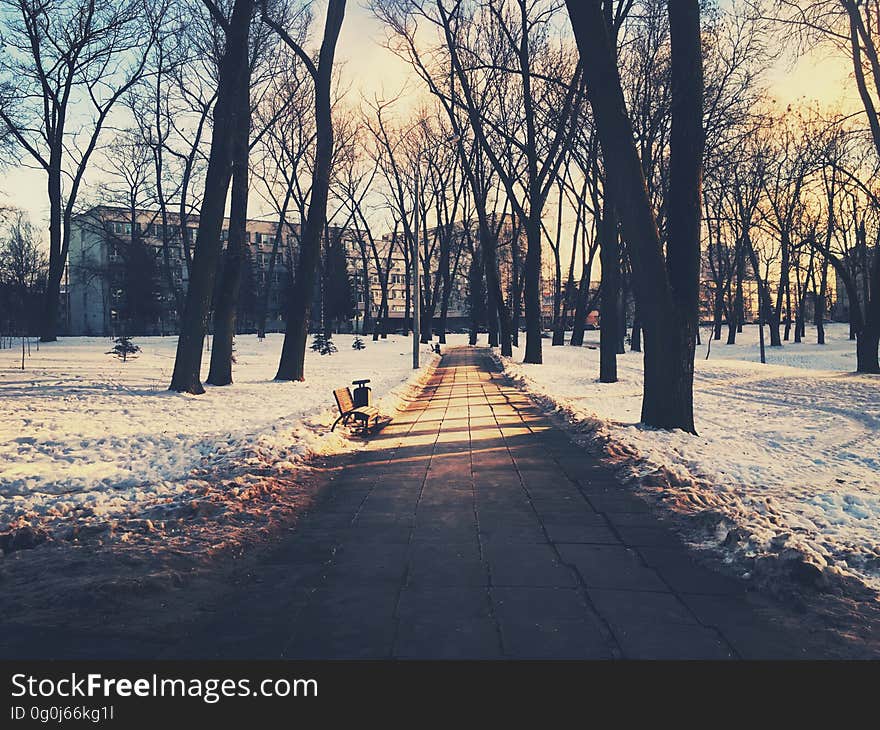 Path through city park in winter with snow covered grass and bench in distance.