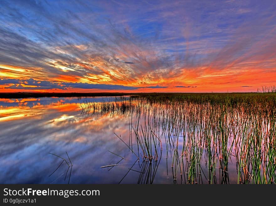 Sky, Reflection, Horizon, Wetland