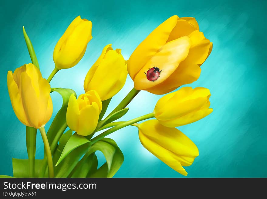 Flower, Yellow, Flowering Plant, Wildflower