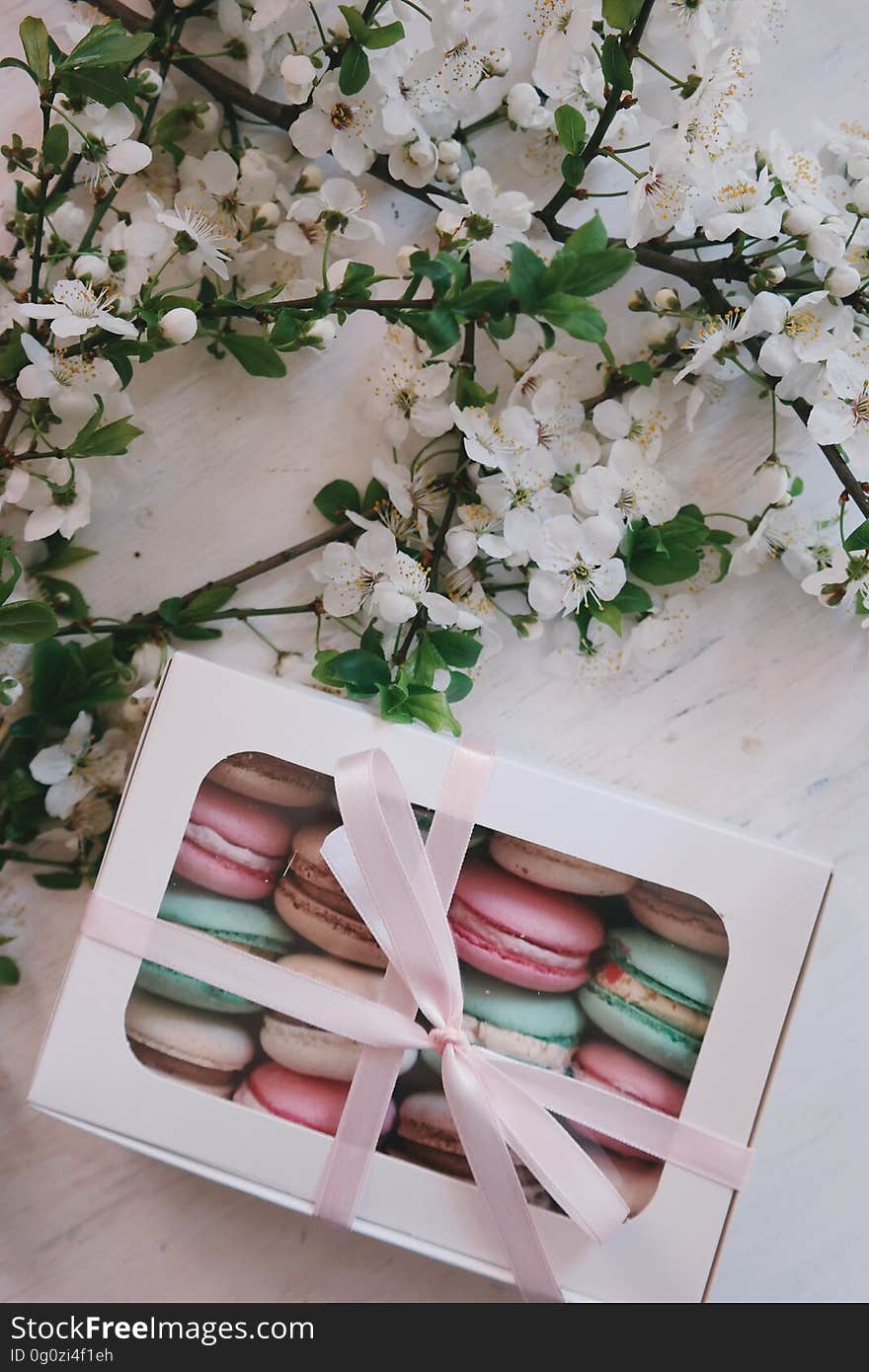 A box of colorful macarons with a branch of an apple tree. A box of colorful macarons with a branch of an apple tree.