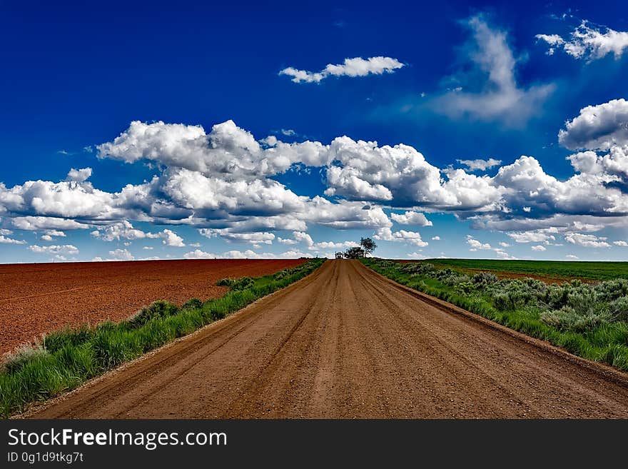 Gray Soil Road Near Field during Daytime Photo