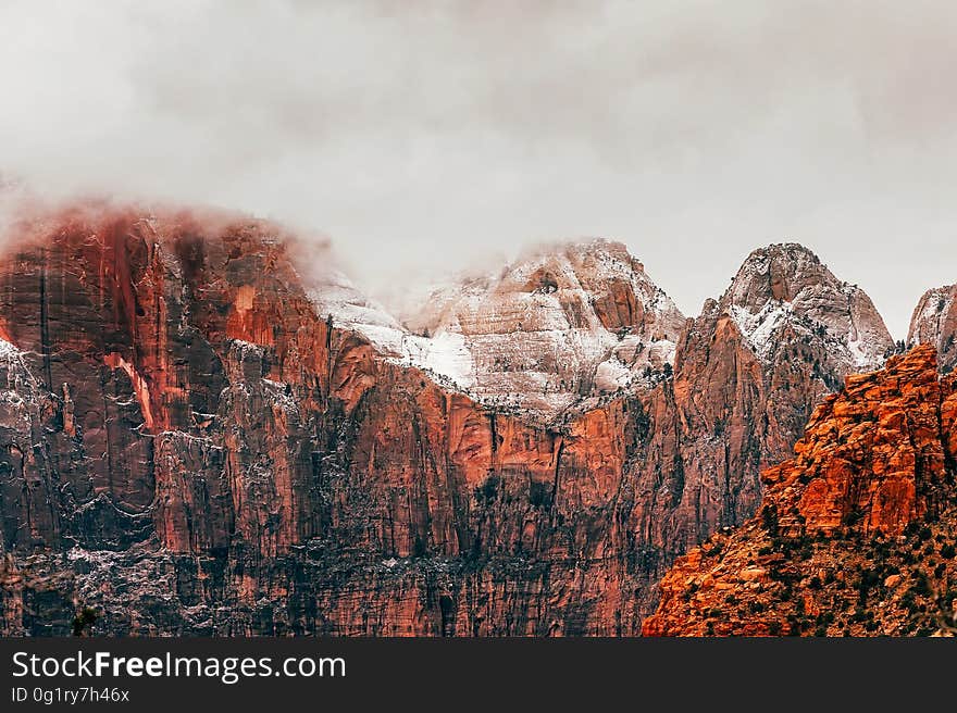 Panoramic Shot of Trees on Landscape