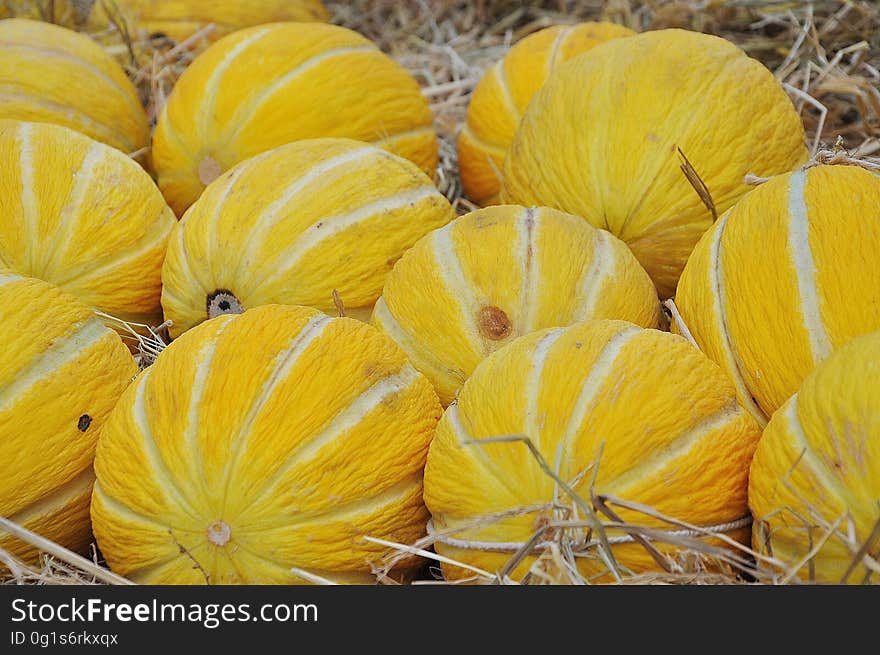 Yellow Fruit on Hay