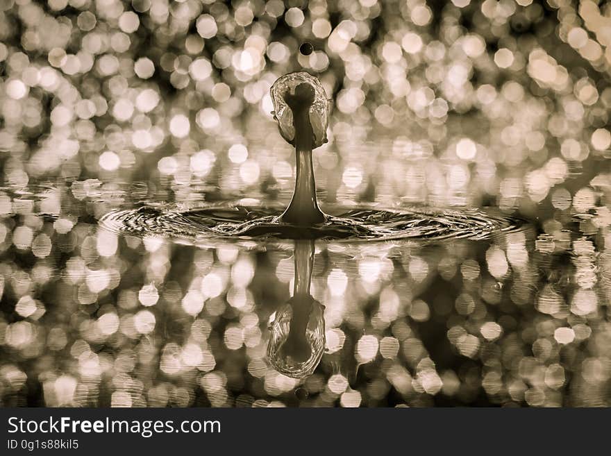 Water, Reflection, Black And White, Photography