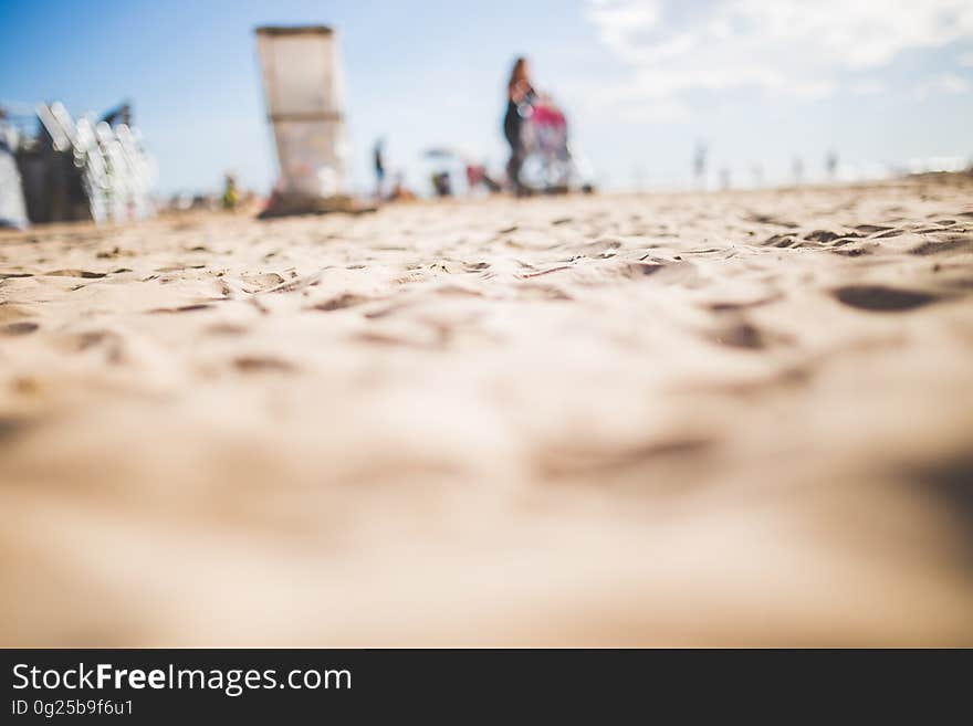 Group of People Cleaning the Seashore Low Angle Photography