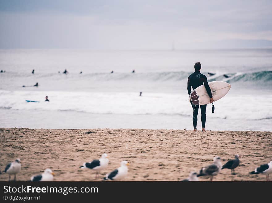 Man, possibly wearing wet suit, holding a white surf board and standing on the sandy beach assessing the waves. Man, possibly wearing wet suit, holding a white surf board and standing on the sandy beach assessing the waves.