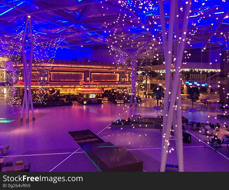 A view inside a pavilion with led light decorations on trees. A view inside a pavilion with led light decorations on trees.