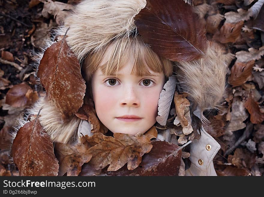 Fur, Leaf, Girl, Autumn