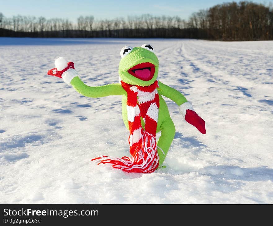 Green Kermit the Frog on White Snow