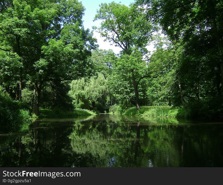 Reflection, Nature, Vegetation, Waterway